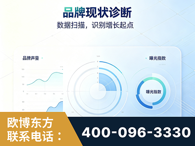 武穴-品牌现状诊断
