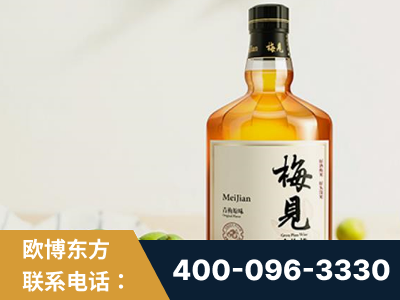 武穴-梅见青梅酒