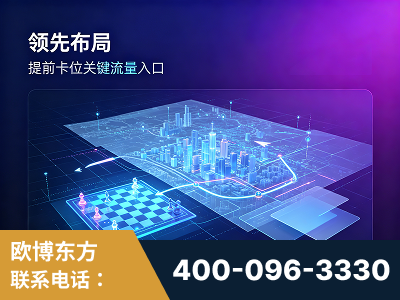 武穴-领先布局：于2024年初开启GEO业务的公司